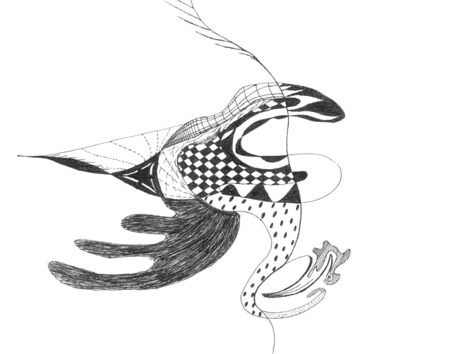 Pencil drawing of an abstract creature with sweeping, patterned forms.