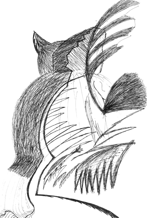 Pencil sketch with layered curves and feather-like lines.